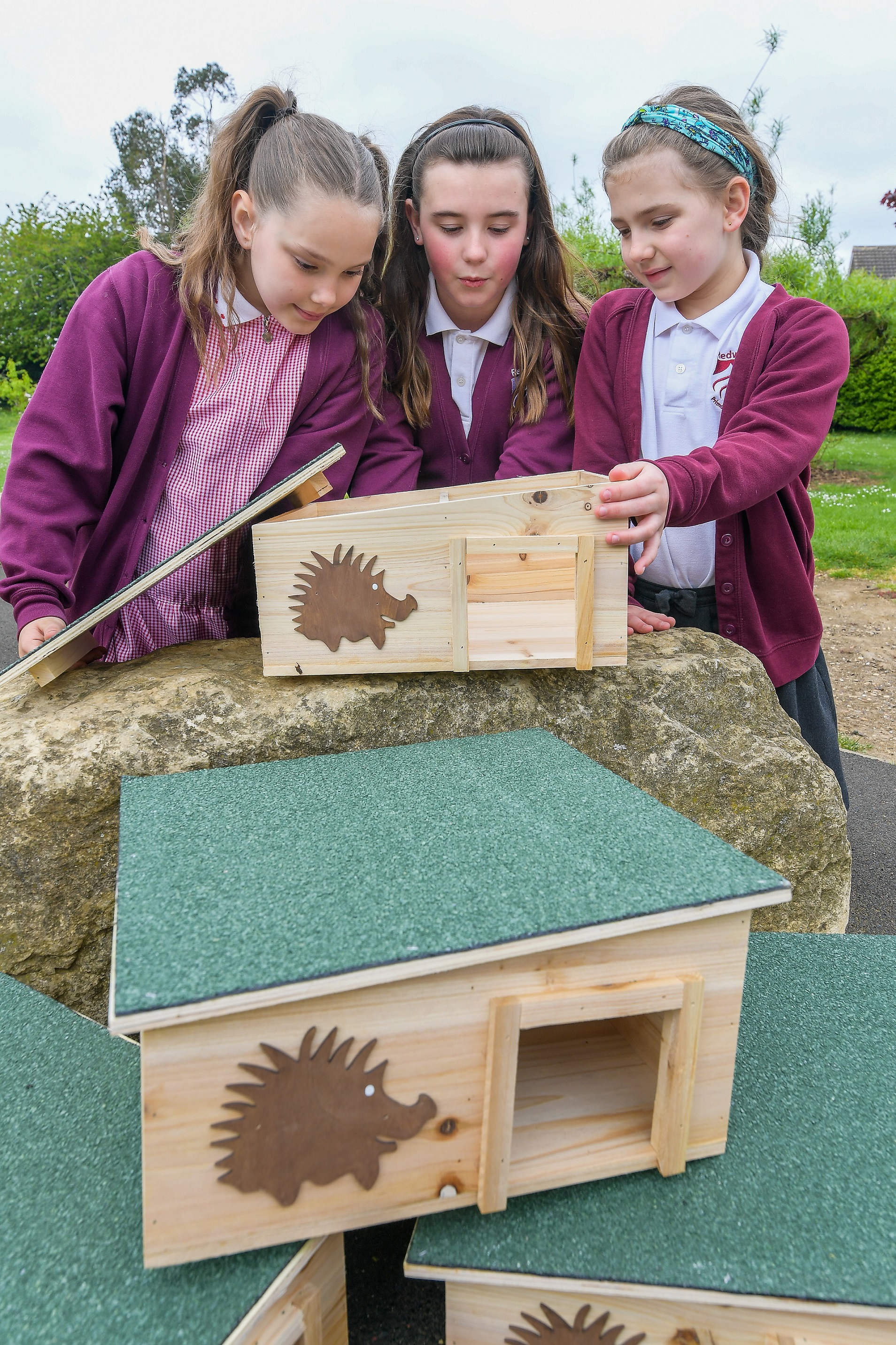 BN 15 Pupils of Redwell Primary School looking inside a hedgehog home